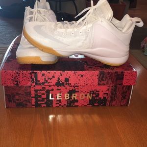LeBron James Nike zoom witness shoes